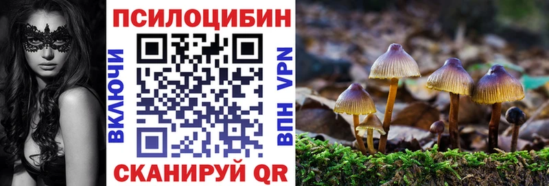 Псилоцибиновые грибы мухоморы  даркнет сайт  Соликамск 